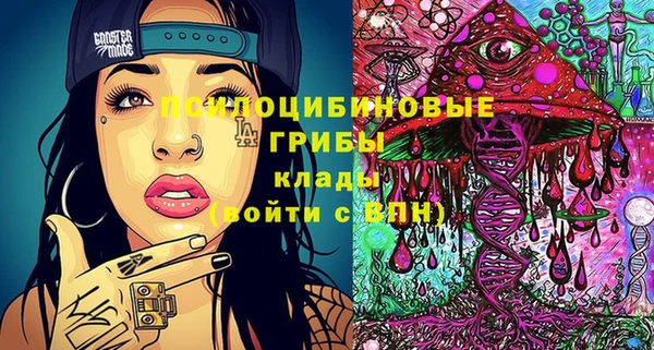 дурь Дмитриев