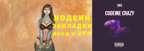дурь Дмитриев
