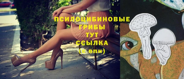 дурь Дмитриев