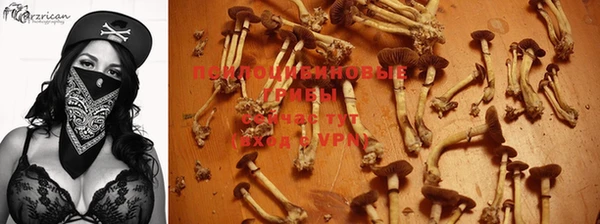 альфа пвп Дмитров