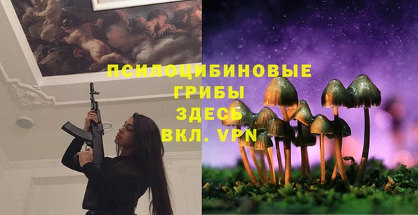 дурь Дмитриев
