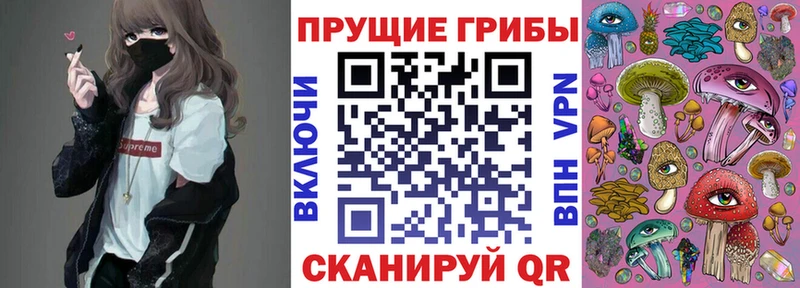 Купить где  Кушва  Псилоцибиновые грибы ЛСД 