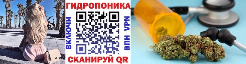 Конопля индика Кушва